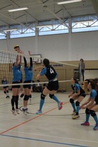 IMG_8014
