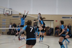 IMG_8040