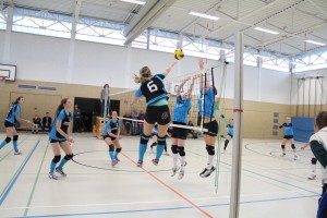 IMG_8102